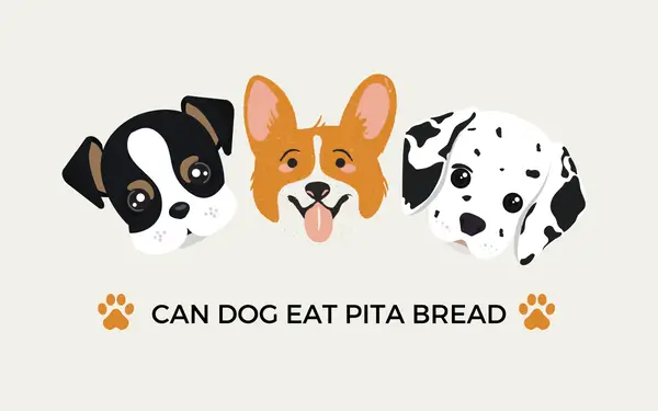 pita bread for dog